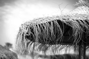 Playa la Malagueta - Detail