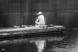 Poisson d’eau douce