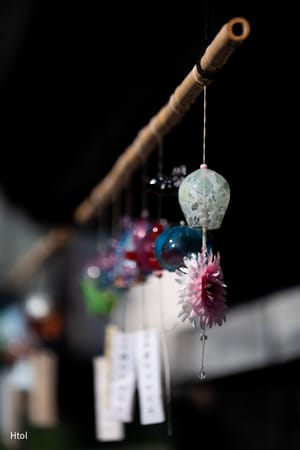 Furin